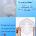 KN95 Mask ( 10 pieces ). 