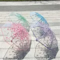 AllGood Cherry Blossom Transparent Folding Anti-UV Sun/Rain Umbrella HSN Tech. 