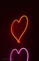Heart Led Neon Sign. 