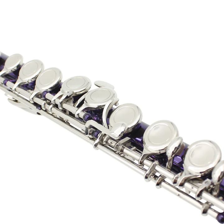 SLADE%2016%20Holes%20C%20Tone%20Flute%20With%20E%20Key%20Purple%20Professional%20Woodwind%20Instrument%20Closed%20Key%20Cupronickel%20Tube%20Flute%20Beginner%20Kit%20-%20Image%203
