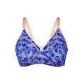 Net Fancy Bra -Net Fabric Brazzers. 