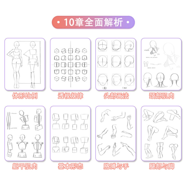 Anime%20Characters%20Tracing%20Sketch%20Hand%20Painted%20Tutorial%20Book%20Structure%20Of%20The%20Human%20Body%20Copy%20Practice%20Line%20Draft%20Practice%20Books%20-%20Image%203