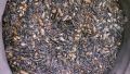Big Parrots Feed ( raw parrot food) 1kg. 