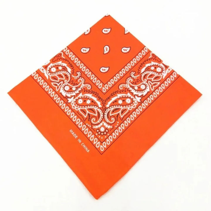 1/2pcs%20Bandanas%20100%25%20Cotton%20Hip%20Hop%20Double%20Sided%20Print%20Fashion%20Headband%20Scarf%20Sports%20Headwear%20Wrist%20Wraps%20Head%20Square%20Scarves%20-%20Image%204