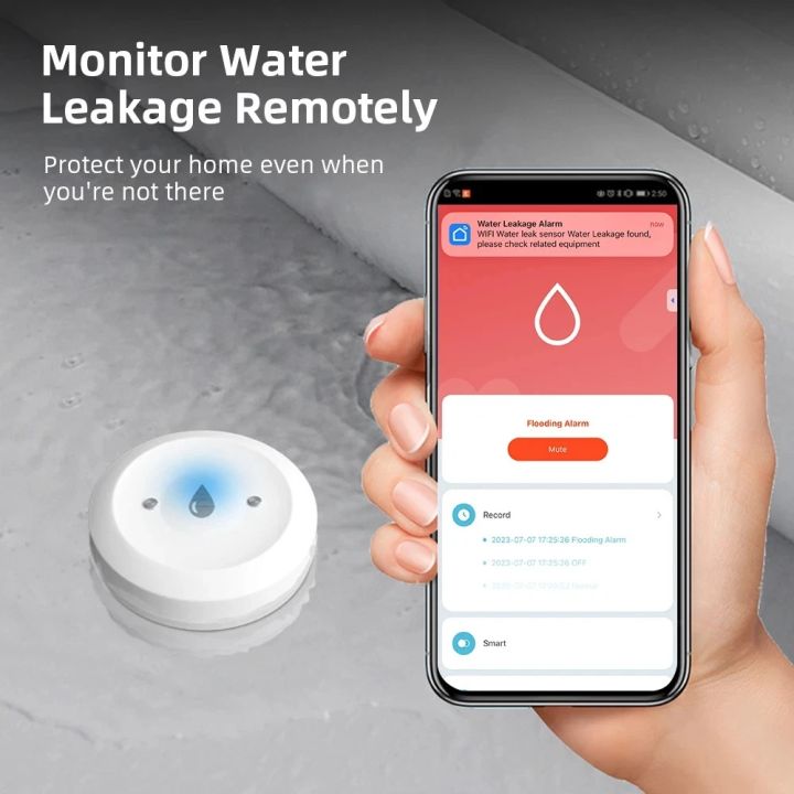 Zigbee%203.0%20Water%20Leak%20Sensor%20Smart%20Home%20Flood%20Detector%20APP%20Notifications%20Alarm%20Records%20Works%20with%20Tuya%20Alexa%20%20Home%202MQTT%20-%20Image%204