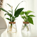 1pc, glass flowerpot breeding station vase rack desktop hydroponic plant cuttings office home decoration.