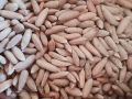 High Quality Chilgoza / Pine Nuts / Gilgit Specail Shogat 1 kg (1000g). 