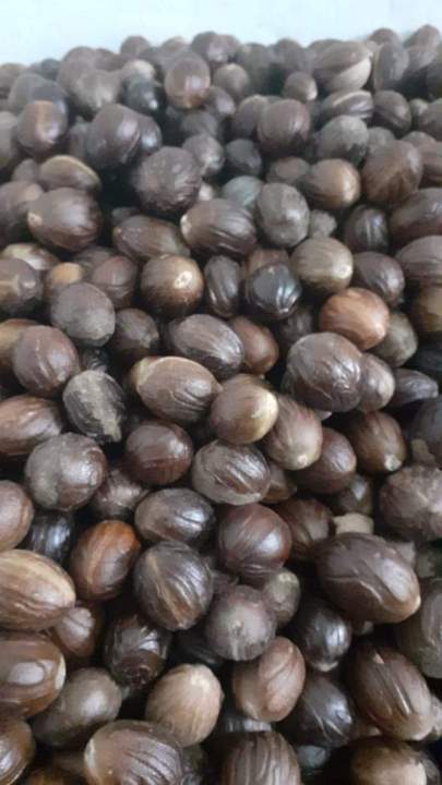 250g%20of%20well-dried%20nutmeg%20in%20excellent%20condition(Sadikka)%20-%20Image%202