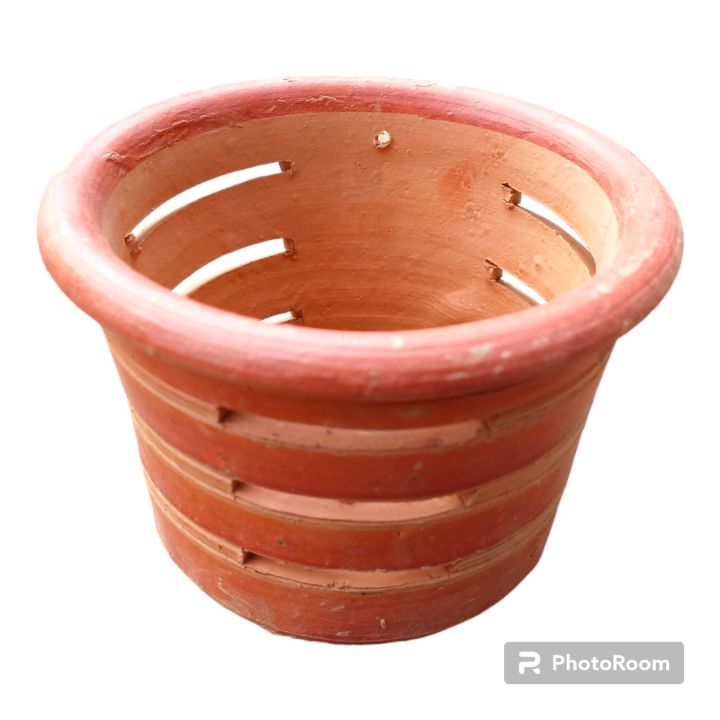 Matir%20Flower%20Tob%20_%20Matit%20Tub%20_%20Orchid%20Matir%20Tob%20-%20Image%203