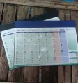 Normal Year Planner Poly Materials Calendar 2025 (21×16.5 inch)  Calendar for Office. 