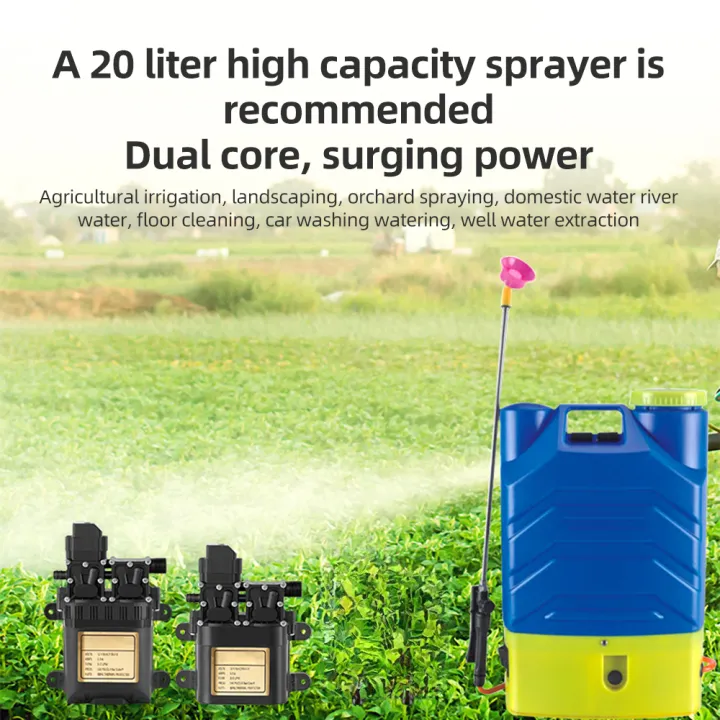 Portable%20Dual%20Motor%2012V%20Water%20Pump%20Diaphragm%20Pump%20Built-in%20Pressure%20Switch%201.1Mpa%20Pressure%208.0LPM%20Flow%20Pressure%20Pump%20for%20Home%20-%20Image%204