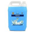 Germnil hand wash 5 liter. 