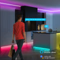 5V USB RGB Neon LED Strip 1M 2M 3M 4M 5M WiFi Neon RGB Strip Work With Tuya App/Smart Life/Alexa for TV Home Neon Decor Lighting lightify. 
