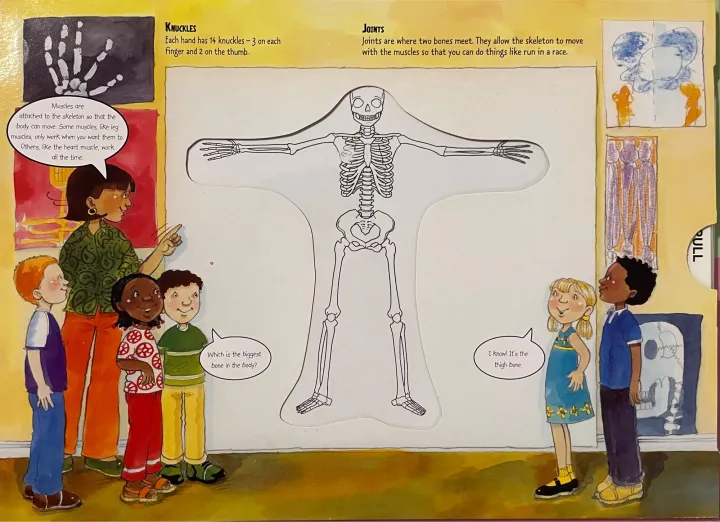 The%20human%20body%20A%20magic%20Skeleton%20Book%20-%20Image%203