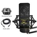V8s Sound Card with AUTNE HTLCA LCT 240 Condenser Mic for Karaoke, Podcasts, and Recording. 