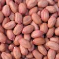 Peanuts China Badam Large grain raw Chinese almonds raw Peanuts.