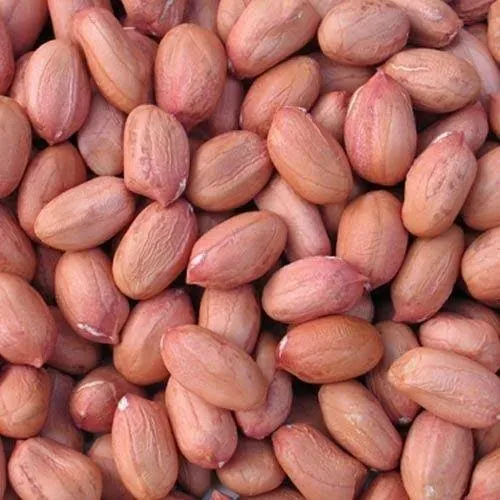 Peanuts%20China%20Badam%20Large%20grain%20raw%20Chinese%20almonds%20raw%20Peanuts%20-%20Image%204