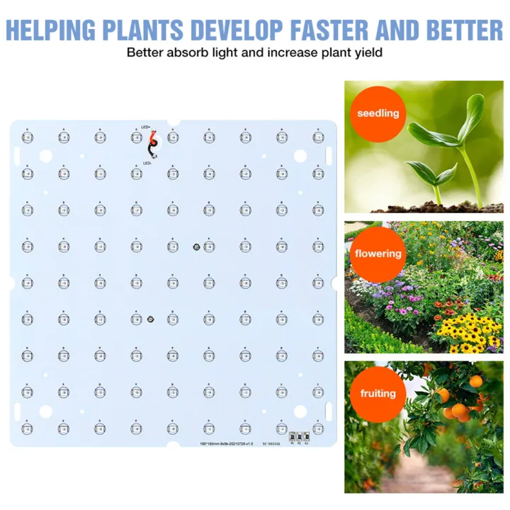 200W%20LED%20Full%20Spectrum%20Grow%20Lights%20Quantum%20Board%20Hydroponics%20Lamp%20US/EU%20Plug%20For%20Indoor%20Flower%20Greenhouse%20Seed%20Flower%20Vegetables%20-%20Image%206