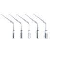 1PC Dental Ultrasonic Scaler Tips Dental Endodontic Endo Tip Fit EMS WOODPECKER Scaler Teeth  Tools E1 E2 E3 E4 E5. 