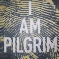 I Am Pilgrim By Terry Hayes. 