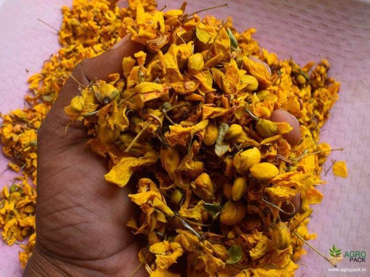 Avarampoo Flowers Dried(Senna Auriculata)ஆவாரம் பூ-100 Gm