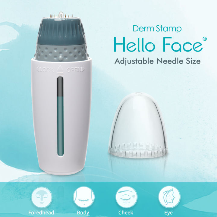 Hello Face Derma Stamp Titanium Microneedle Bio Needle H24 Hydra Needle ...