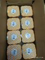 bkh 50 pices box  4" inch type cutting wheel  professional high quality. 