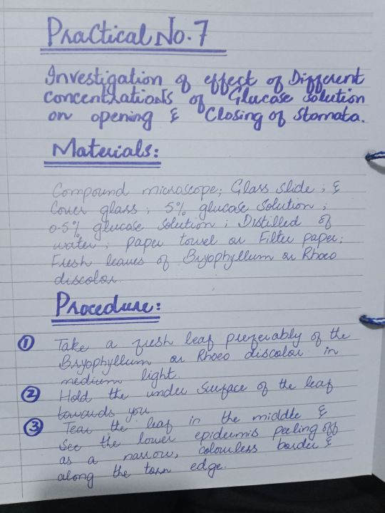 Practical%20Notebook%20Biology%20class%2011,12%20(%20Fully%20Solved,%20unchecked%20)%202025%20Edition%20-%20Image%207