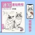 Beginner Sketching Fundamentals Tutorial Book - Zero Foundation Pencil Drawing Album for Art Learners Copying Textbook. 