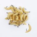 Maggots Fishing Bait Set with Hooks - Versatile Grub Lures for Bass,Trout,Crappie,Bluegill,Ideal for Freshwater Fishing.
