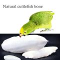 Samandari Jhag (Cuttlefish Bone)   500 Gram ,For Parrots Finches - Pigeons - Lovebirds - Macaw - African Grey - Raw - Parrot - Canary - Finches - Gouldians - Budgies Super Sheikh Trading Co. 