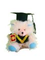 Graduation tedy bear. 