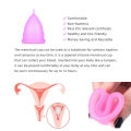 4-Piece Set Women Menstrual Cup Silicone Period Cup Feminine Hygiene Menstrual Collector Reusable Menstrual Bowl+Folding Cup.