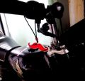 Bike Mounch for honda 125 & Cd 70 Decoration Pcs. 