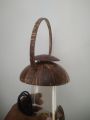 Coconut Shell Table Lamp 230V 5W. 