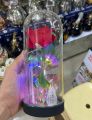 Rose flower in glass tube gift anversiry gift. 