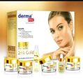 Dermapro gold facial kit. 