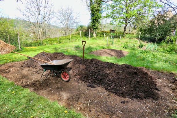 Readymix%20soil%20for%20garden/%20premium%20quality%20-%20Image%206
