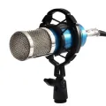 Microphone Stand Universal Professional Condenser Mic Shock Mount Holder Studio Recording Bracket For Large Diaphram Mic Clip. 