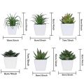6PCS Home Decoration, Mini Evergreen Artificial Succulent Small Potted Plants. 