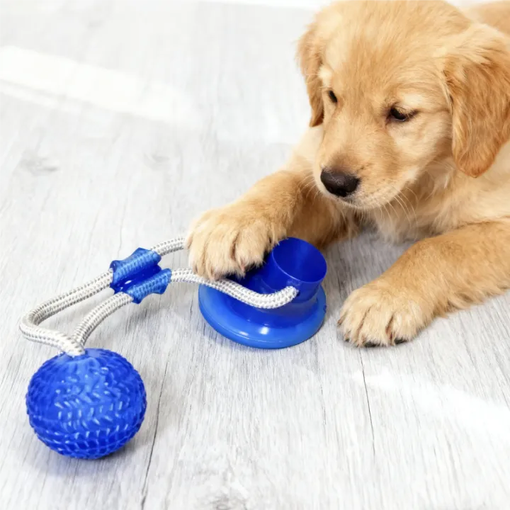 Dog%20Toys%20Pet%20Puppy%20Interactive%20Suction%20Cup%20Push%20TPR%20Ball%20Toys%20Molar%20Bite%20Toy%20Elastic%20Ropes%20Dog%20Tooth%20Cleaning%20Chewing%20Supplies%20-%20Image%203