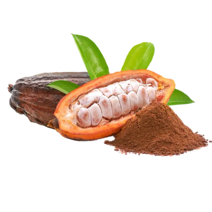 Cocoa%20fruit%20chocolate%20plant%20-%20Image%203