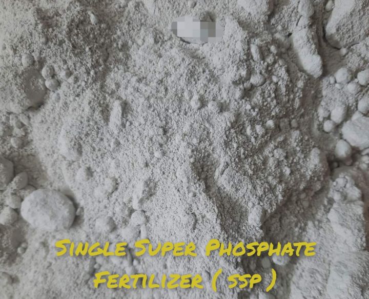 Single%20Super%20Phosphate%C2%A0%20Fertilizer%C2%A0%20ssp%201000%20gm%20Repack%20Indian%20-%20Image%202