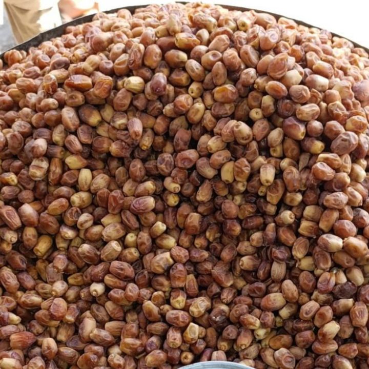 Basra Premium quality by Gohar Dates