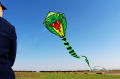 Strong Snake With Long Colorful Tail!Huge Beginner Snake Kites for Kids And Adults  Come With String And Handle. 
