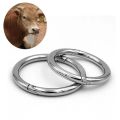 SS Nose Ring For Cow/Bull 9 cm. 