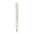 Mercury Thermometer flat Glass. 