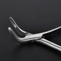 Dental Root Fragment Tooth Extraction Forceps Pliers Instrument Dentist Curved Maxillary Mandibular Tool.