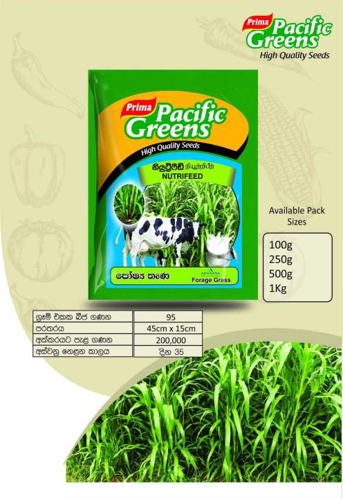Prima%20Pacific%20Greens%20%E2%80%93%20Nutrifeed%20Grass%20Seeds%20Cow%20Feed%20(Forage%20Grass)%20-%20Image%202