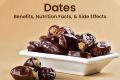 A1 khajoor dates khairpur mirs. 